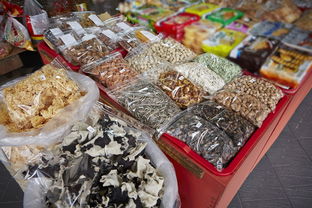 成都無糖食品及奶制品批發(fā)市場分布與進(jìn)出口指南