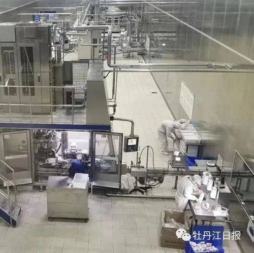 中俄跨境乳制品加工廠項目 前5個月產(chǎn)值增長超300%，奶制品批發(fā)與進(jìn)出口蓬勃發(fā)展